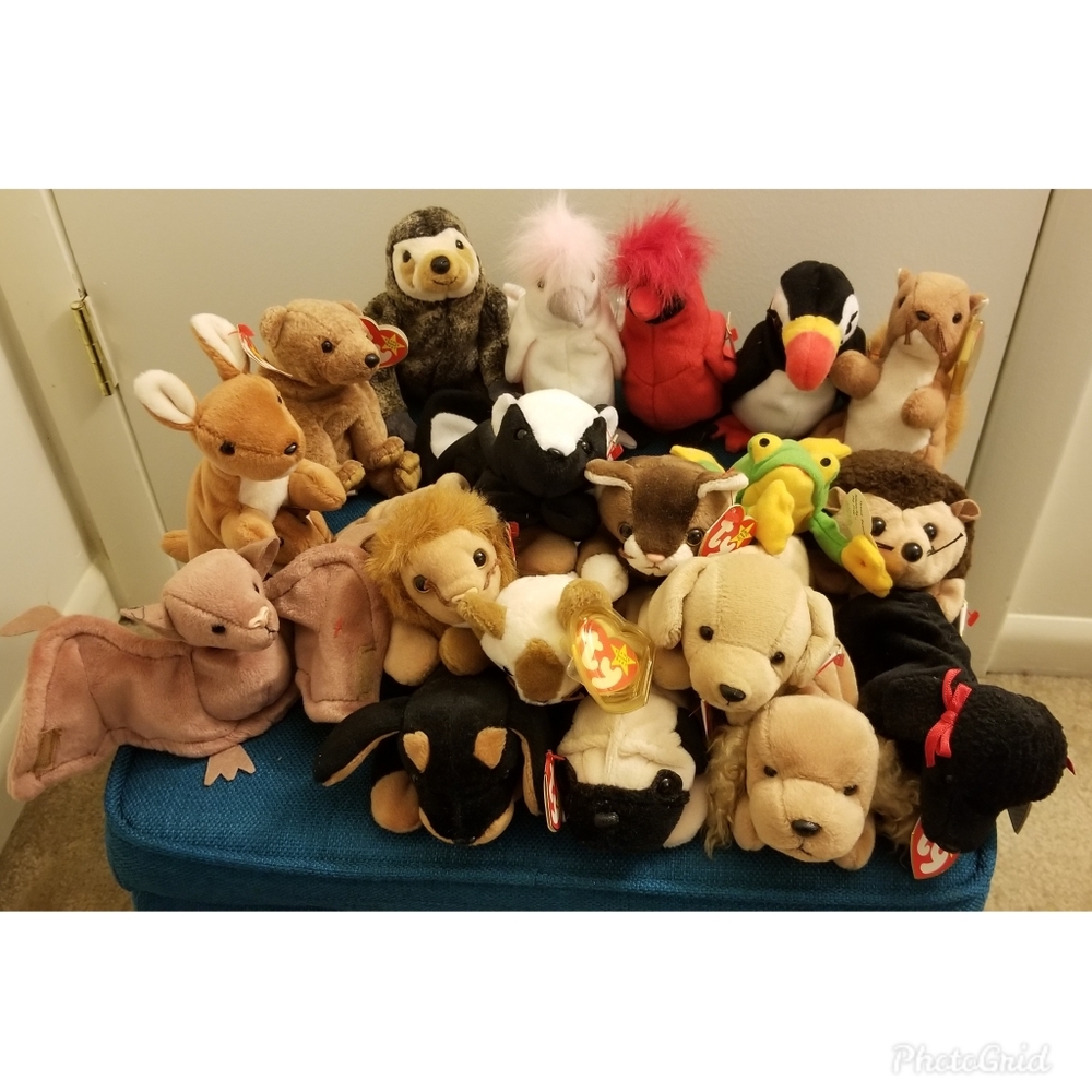 TY Beanie Babies (Assorted Set of 19)